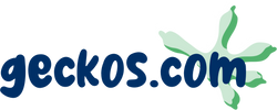 geckos.com