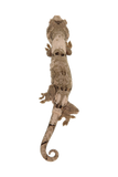 “Agartha” <br>~<br> Angel x Gummy Bear