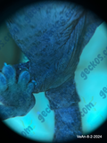“Ronin” <b><small> holdback </small></b><br>~<br> Velvet x Anubis